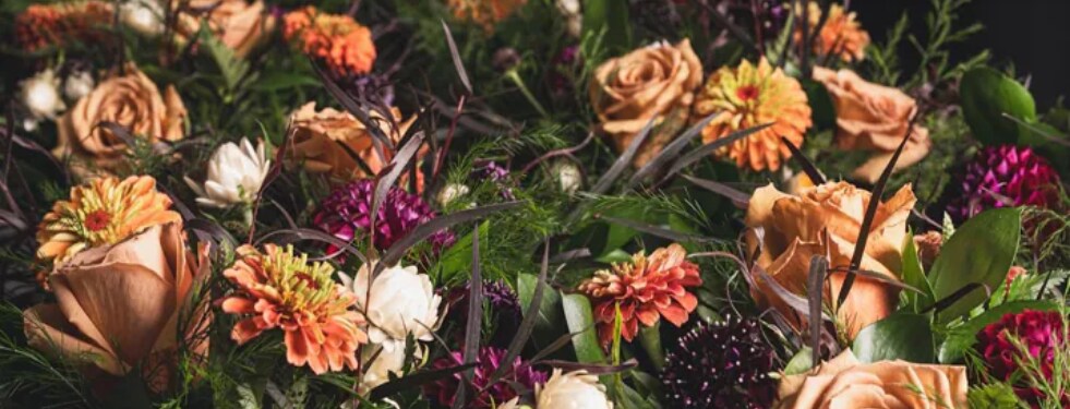 Fall into Autumn with our Premium Blooms